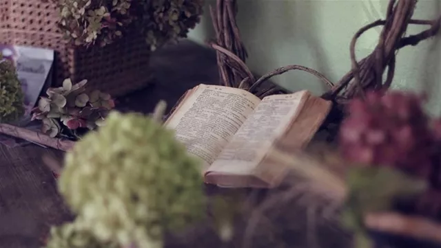 紫微命盘解析——天梁星于丑未宫守命