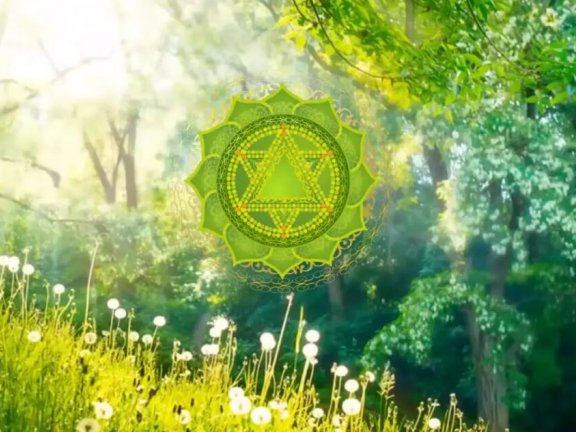 归真无涯何事了