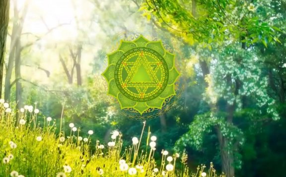 大脑的修行—-我冥想二十年的体验