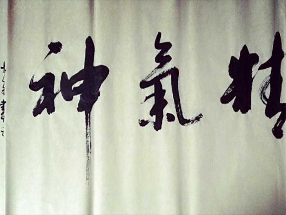 精气神(精神与力气)