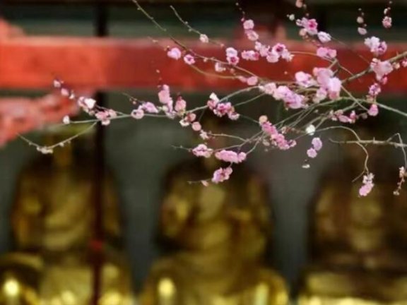 事情总是不顺心,怎样给自己转运