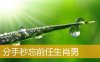 分手秒忘前任生肖男