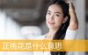 正桃花是什么意思