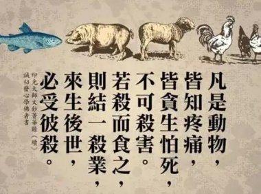 猪跑到寺院跪拜