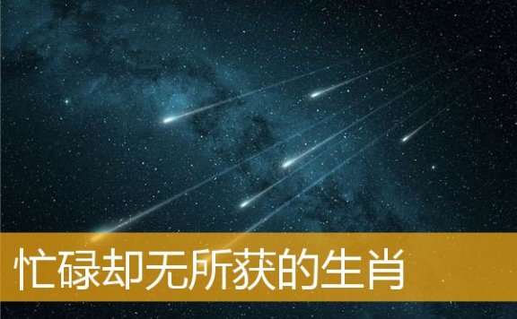 忙碌却无所获的生肖