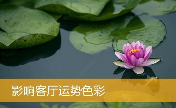 影响客厅运势色彩