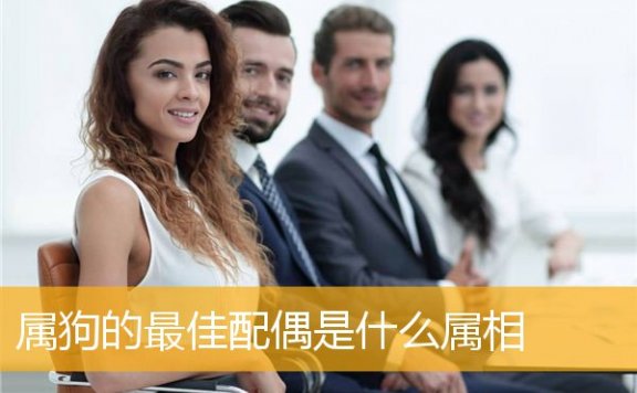 属狗的最佳配偶是什么属相