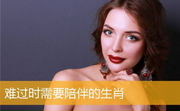 难过时需要陪伴的生肖