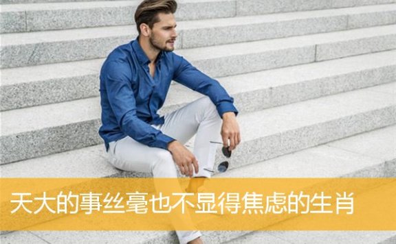 天大的事丝毫也不显得焦虑的生肖