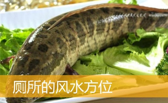 厕所的风水方位