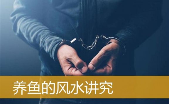 养鱼的风水讲究