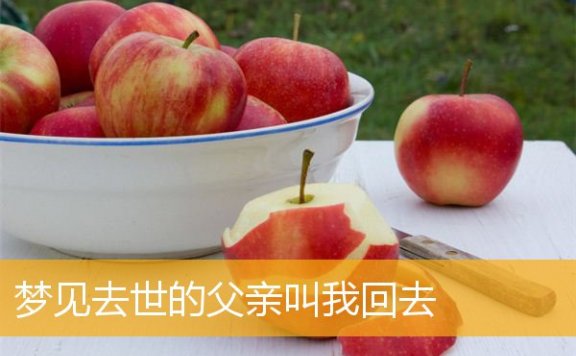 梦见去世的父亲叫我回去