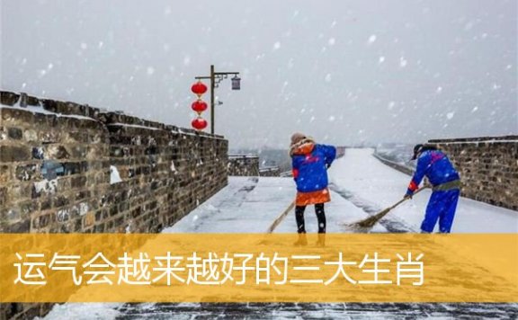 运气会越来越好的三大生肖