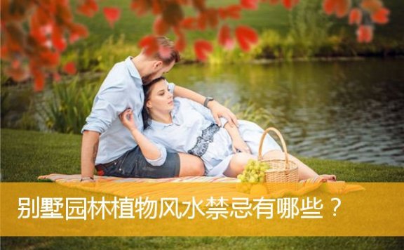 别墅园林植物风水禁忌有哪些？