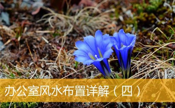 办公室风水布置详解（四）