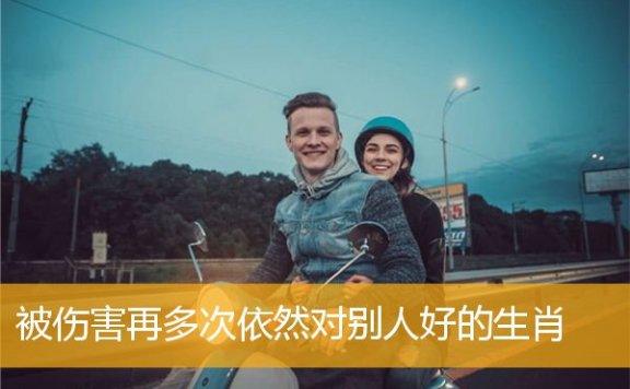 被伤害再多次依然对别人好的生肖