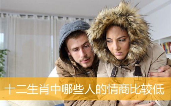 十二生肖中哪些人的情商比较低