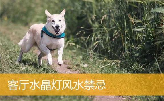 客厅水晶灯风水禁忌