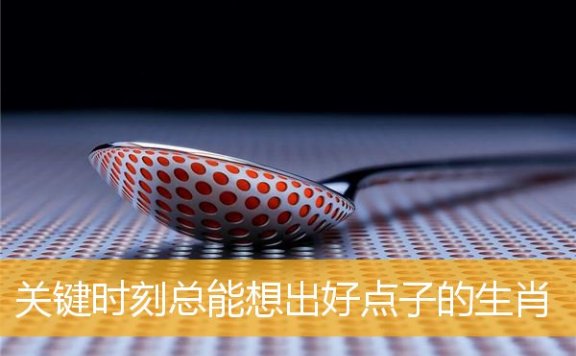 关键时刻总能想出好点子的生肖