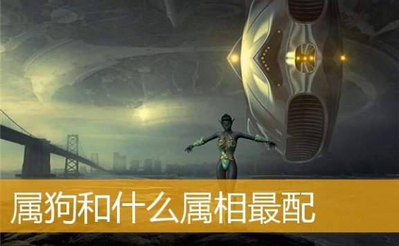 属狗和什么属相最配