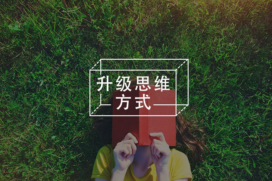 动物有疗愈力？与动物相处将是人类疗愈内心最好的方法