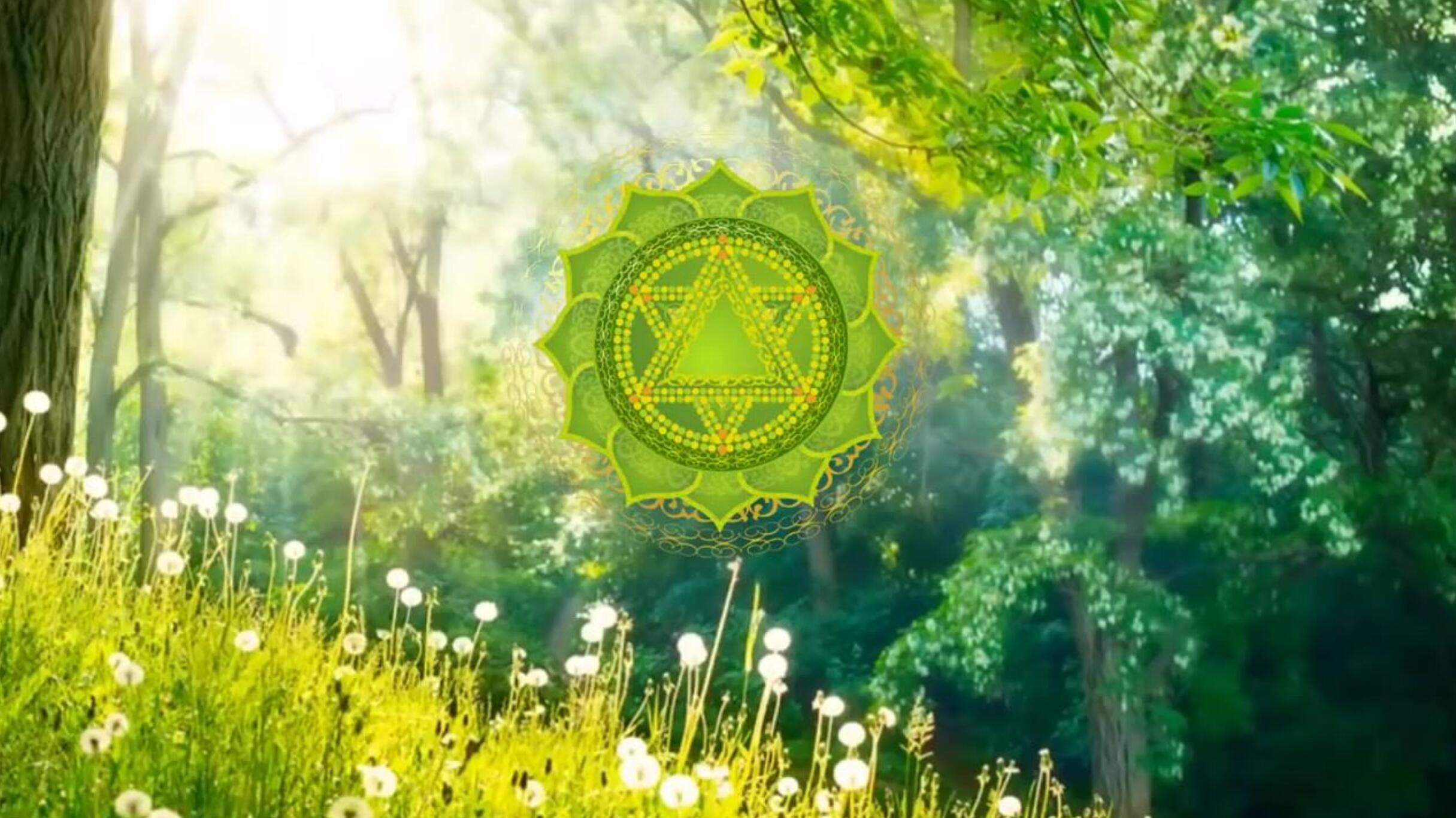 大脑的修行—-我冥想二十年的体验