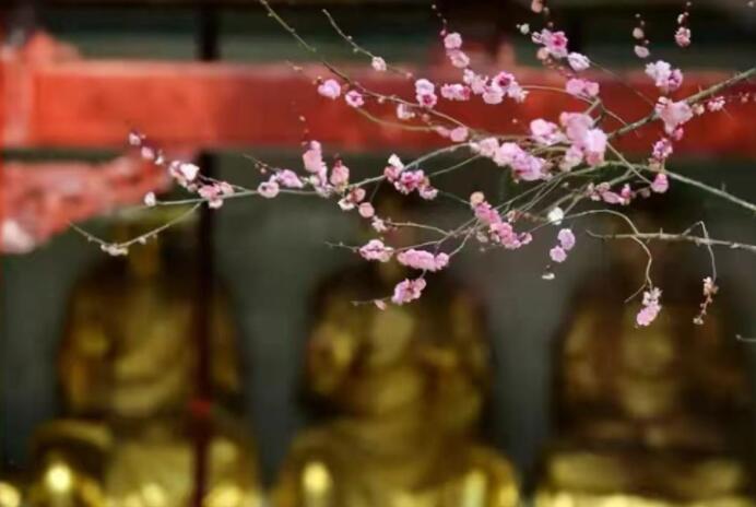 事情总是不顺心,怎样给自己转运