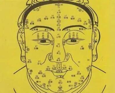 面部八骨相看你能否富贵发达