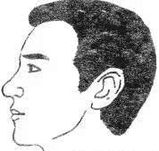 十六种鼻子面相图文分析，看看你财运如何？