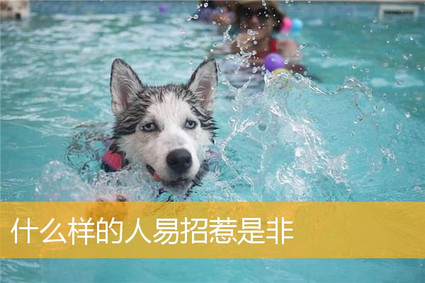 什么样的人易招惹是非