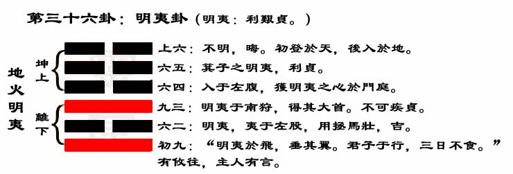 解读易经（第三十六卦）——明夷卦