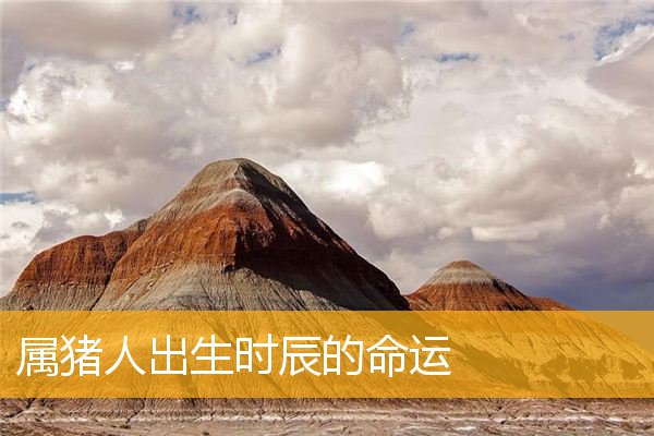 属猪人出生时辰的命运