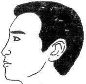 十六种鼻子面相图文分析，看看你财运如何？