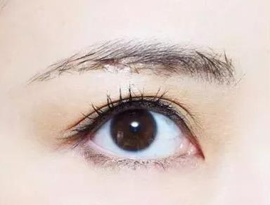阅人三十六术之四:眉毛