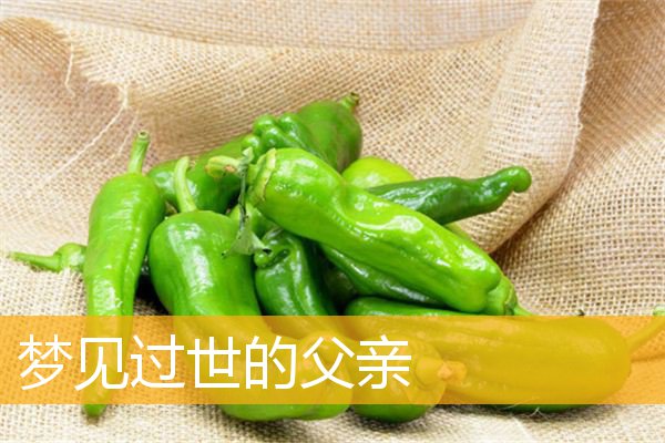 梦见过世的父亲