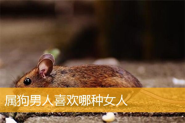 属狗男人喜欢哪种女人