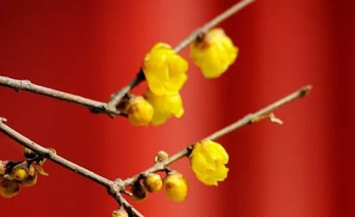 开公司吉利旺财的名 朗朗上口的企业取名