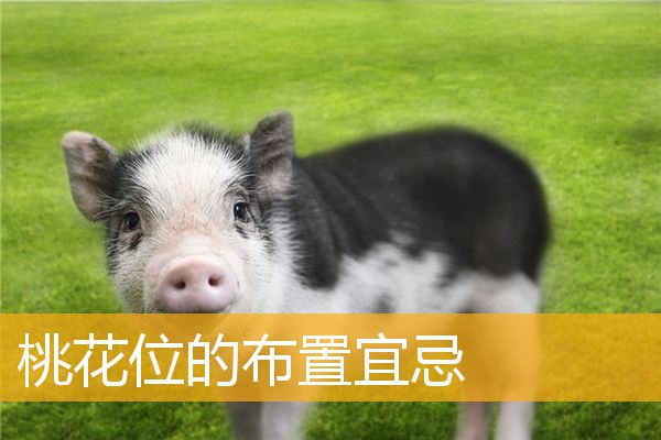 桃花位的布置宜忌