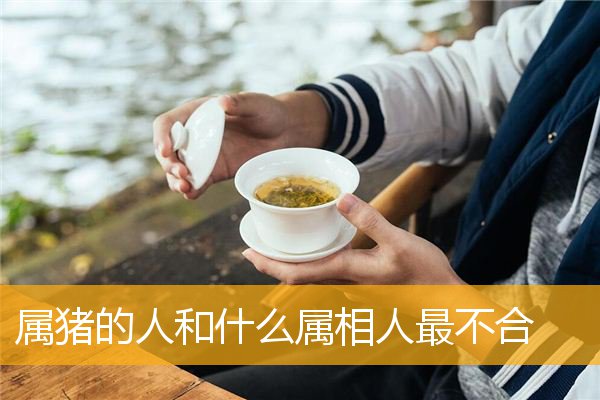 属猪的人和什么属相人最不合