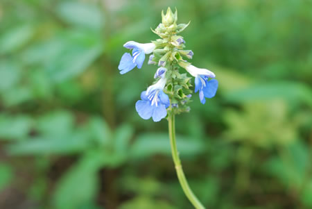 职场里最自大狂妄的星座相关阅读