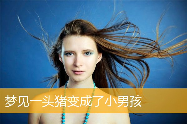 梦见一头猪变成了小男孩