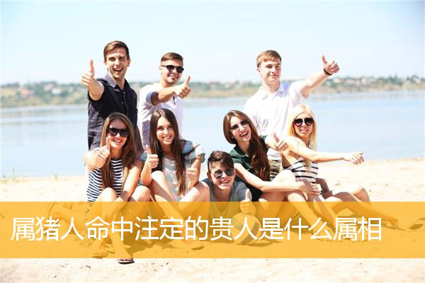 属猪人命中注定的贵人是什么属相