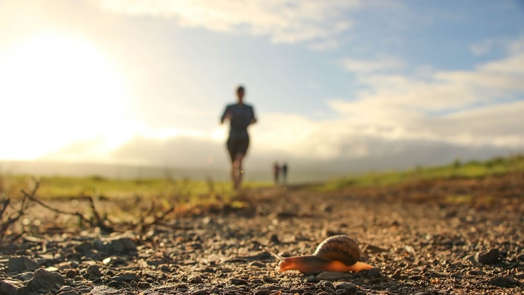 紫微斗数：2022年把握哪种机会，你将迎来福运？