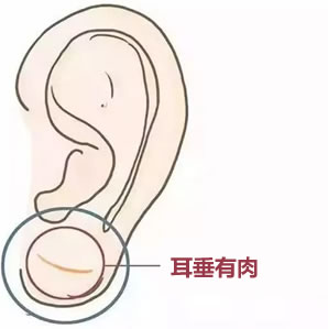 有这些耳相的人头脑聪明，福泽深厚