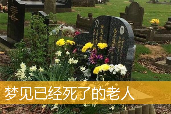 梦见已经死了的老人