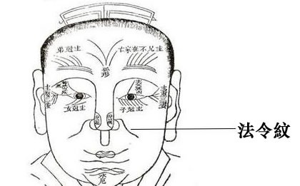面相看啥样的人容易得到异性贵人相助