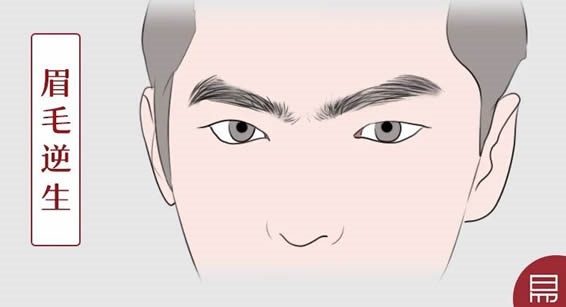 何为“眉清目秀”？老易带你读《麻衣神相·神异赋》