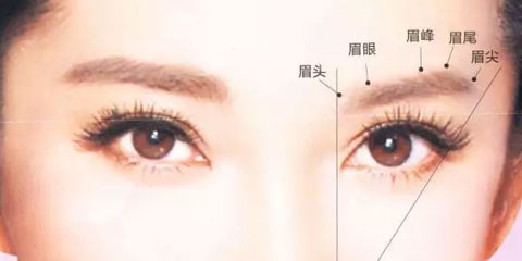 面相解析：圆眼之人搭配何种眉型易招桃花？