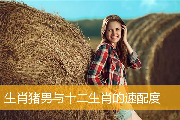 生肖猪男与十二生肖的速配度