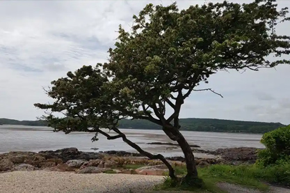 2022年新医院起名大全 寓指一帆风顺的医院取名